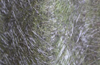 Manningford Bohune fibreglass roof work